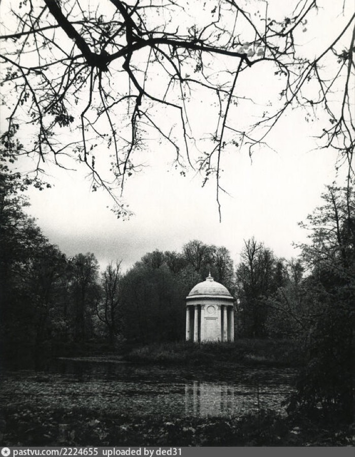 Осень. Усадьба Быково, 1991